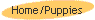 Home/Puppies