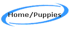 Home/Puppies