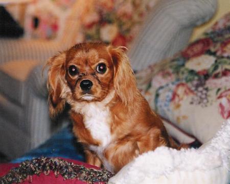 Roxy