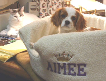 Aimee and friend Katie