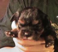 Ally 11 weeks