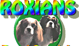 Roxians Royal Spaniels